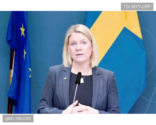 瑞典主帅安德松展望国家队重建：挑战与希望并存