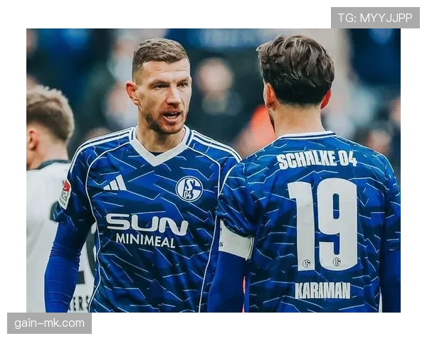 沙尔克球员持续提升状态,力争重返德甲巅峰竞争行列 沙尔克球员持续提升状态,力争重返德甲巅峰竞争行列